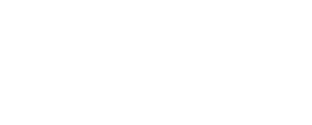 Festival Features